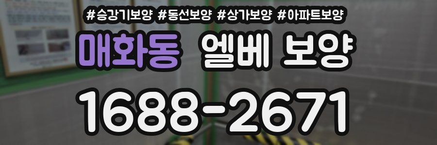 매화동 엘베 보양