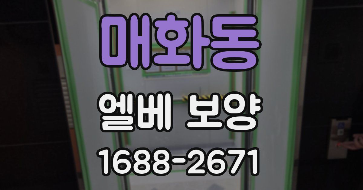 매화동 엘베 보양