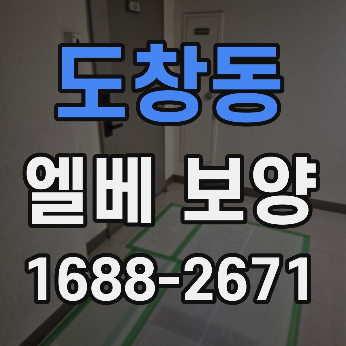 도창동 엘베 보양 접합부 정리로 들뜸을 줄이는 방법