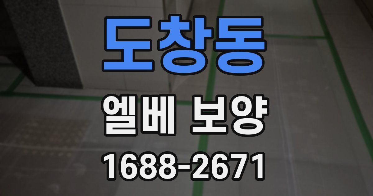 도창동 엘베 보양