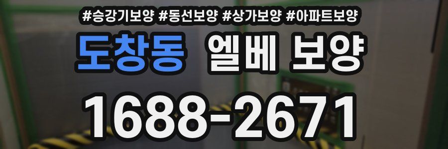 도창동 엘베 보양