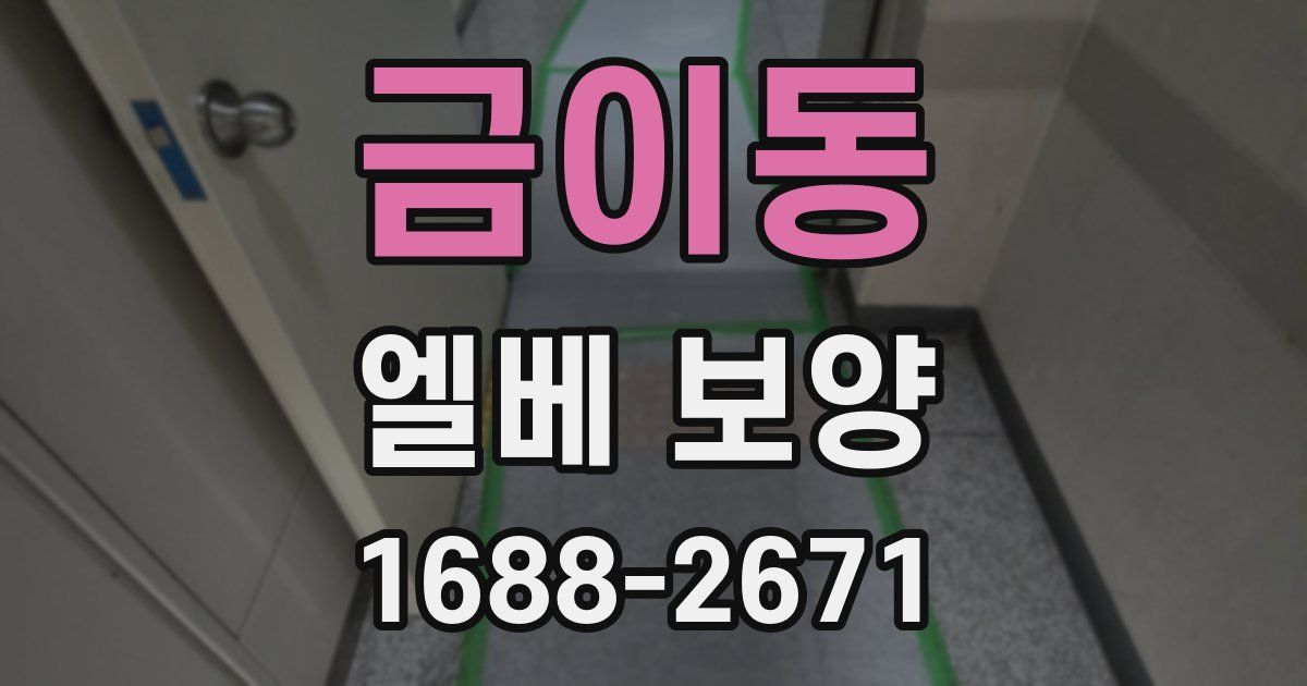 금이동 엘베 보양
