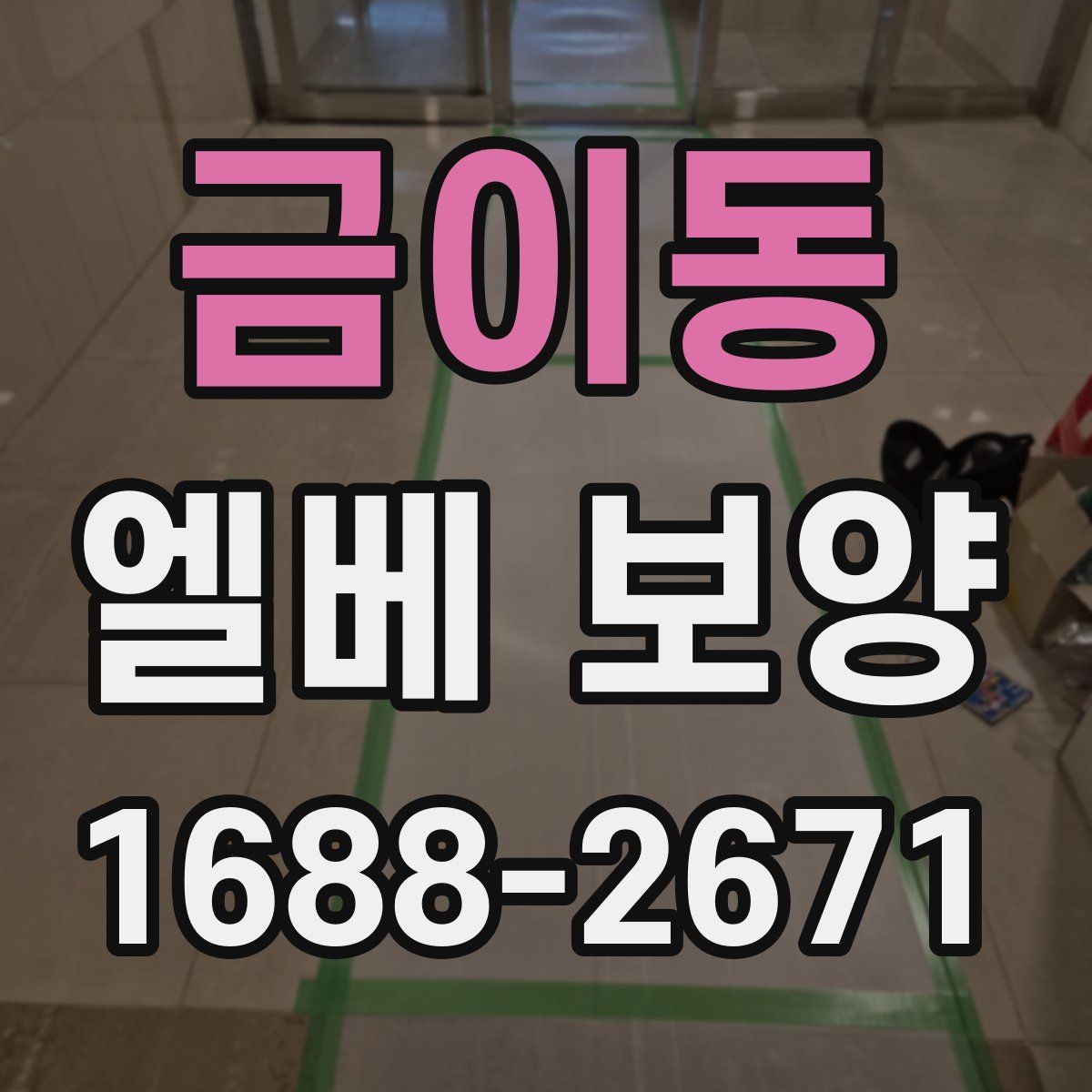 금이동 엘베 보양