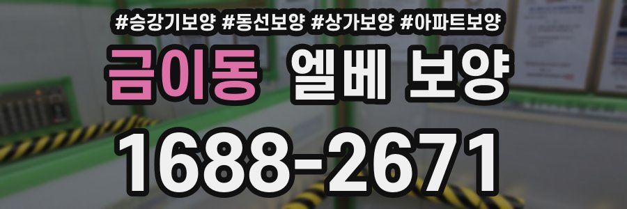 금이동 엘베 보양