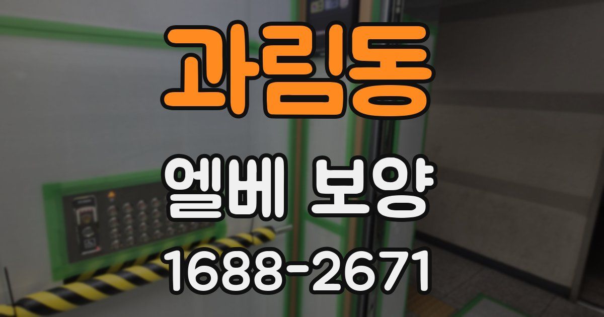 과림동 엘베 보양