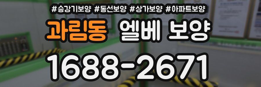 과림동 엘베 보양