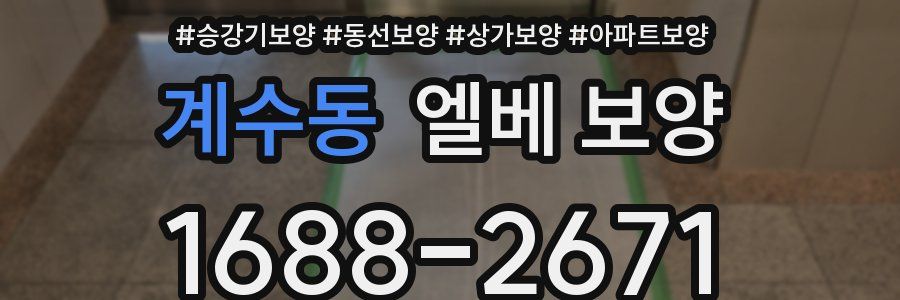 계수동 엘베 보양