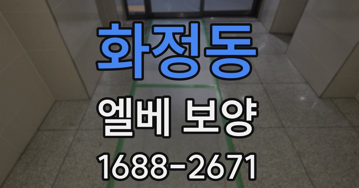 화정동 엘베 보양