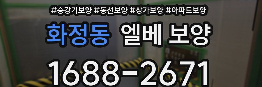 화정동 엘베 보양
