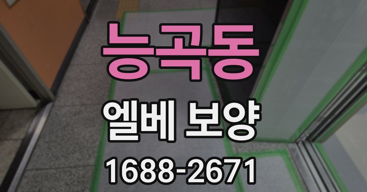 능곡동 엘베 보양