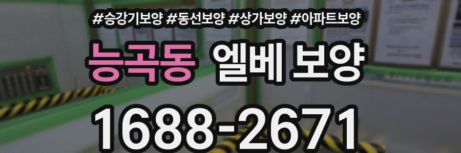 능곡동 엘베 보양
