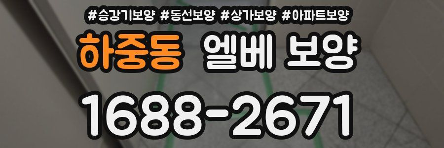 하중동 엘베 보양
