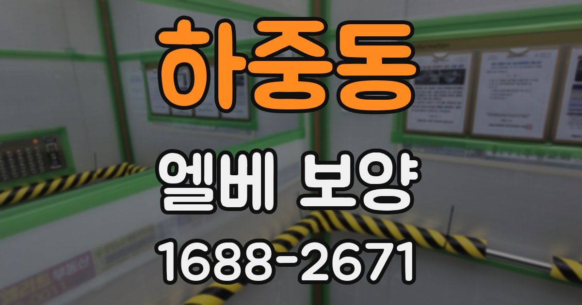 하중동 엘베 보양