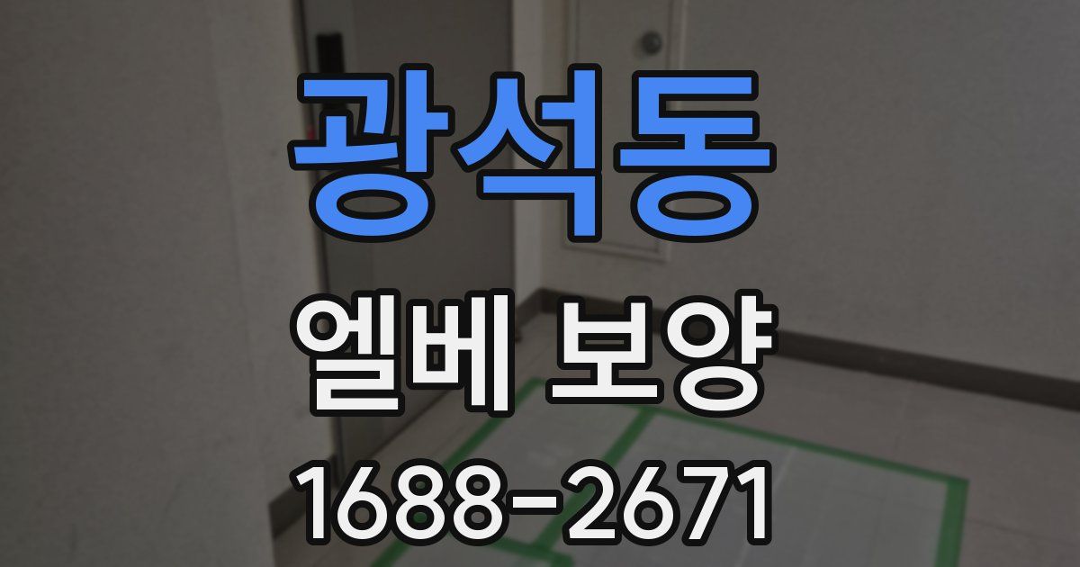 광석동 엘베 보양
