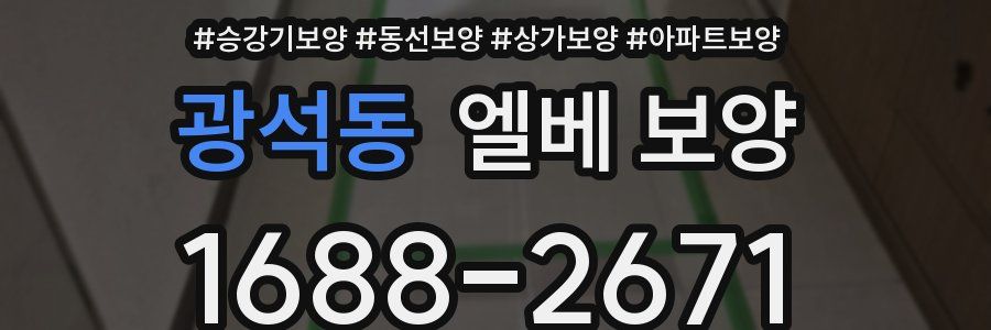 광석동 엘베 보양