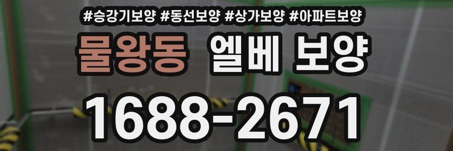 물왕동 엘베 보양