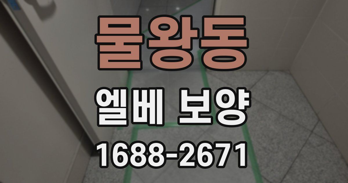 물왕동 엘베 보양
