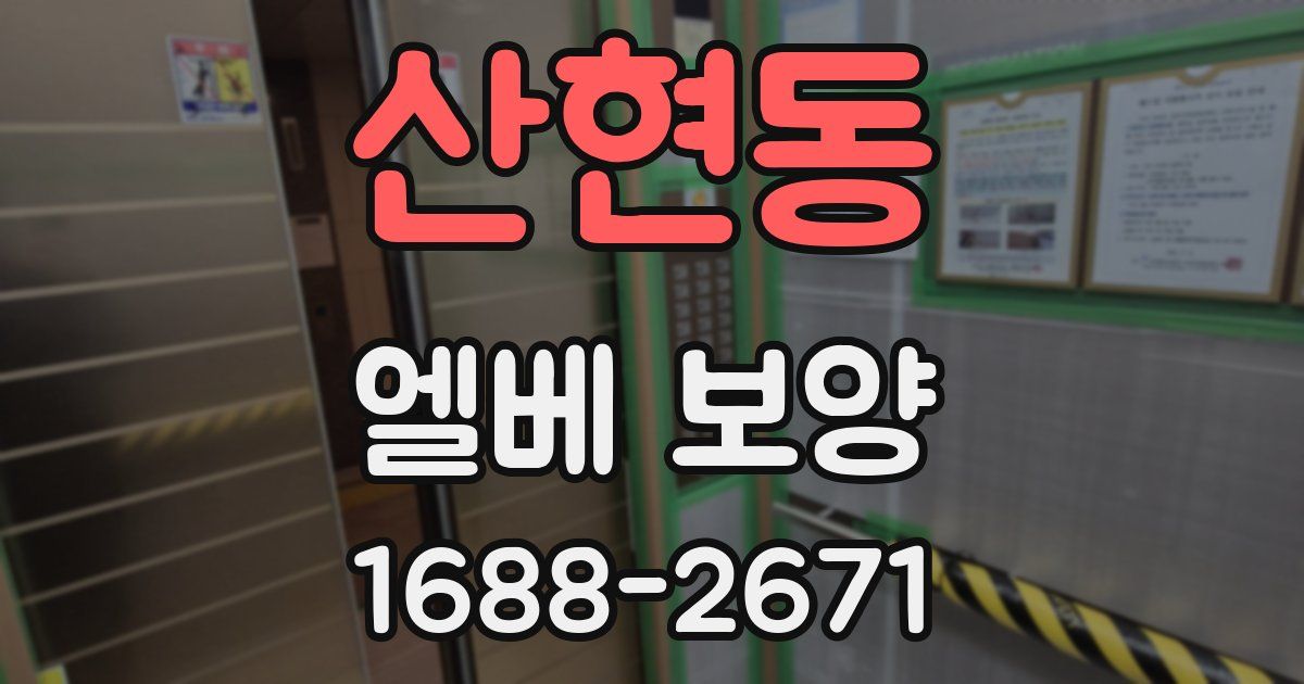 산현동 엘베 보양