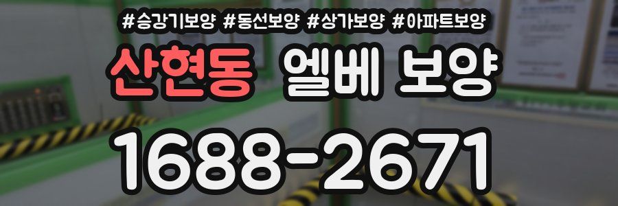 산현동 엘베 보양