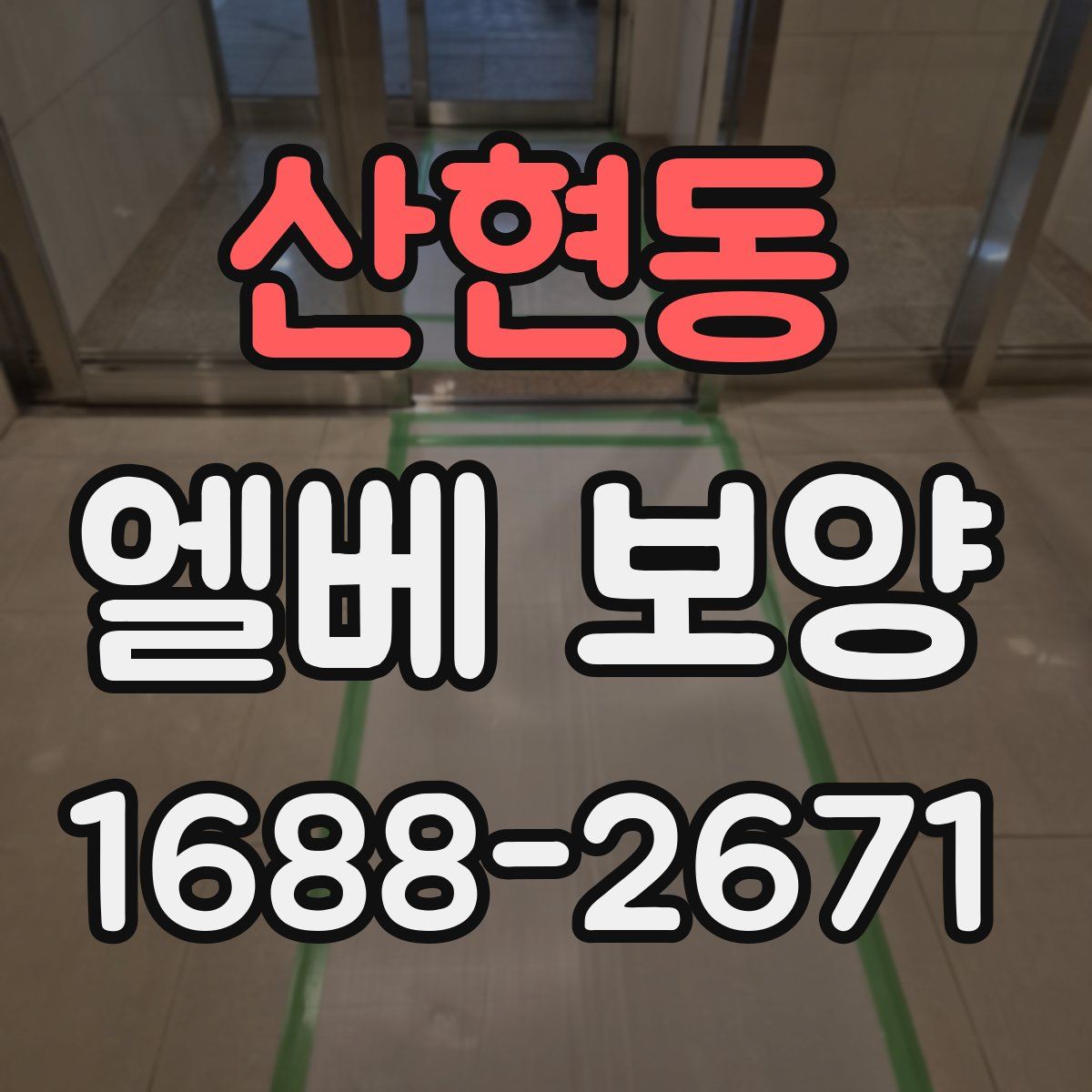 산현동 엘베 보양