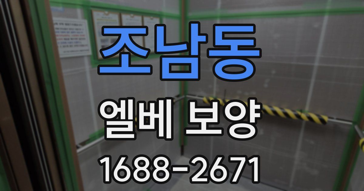 조남동 엘베 보양
