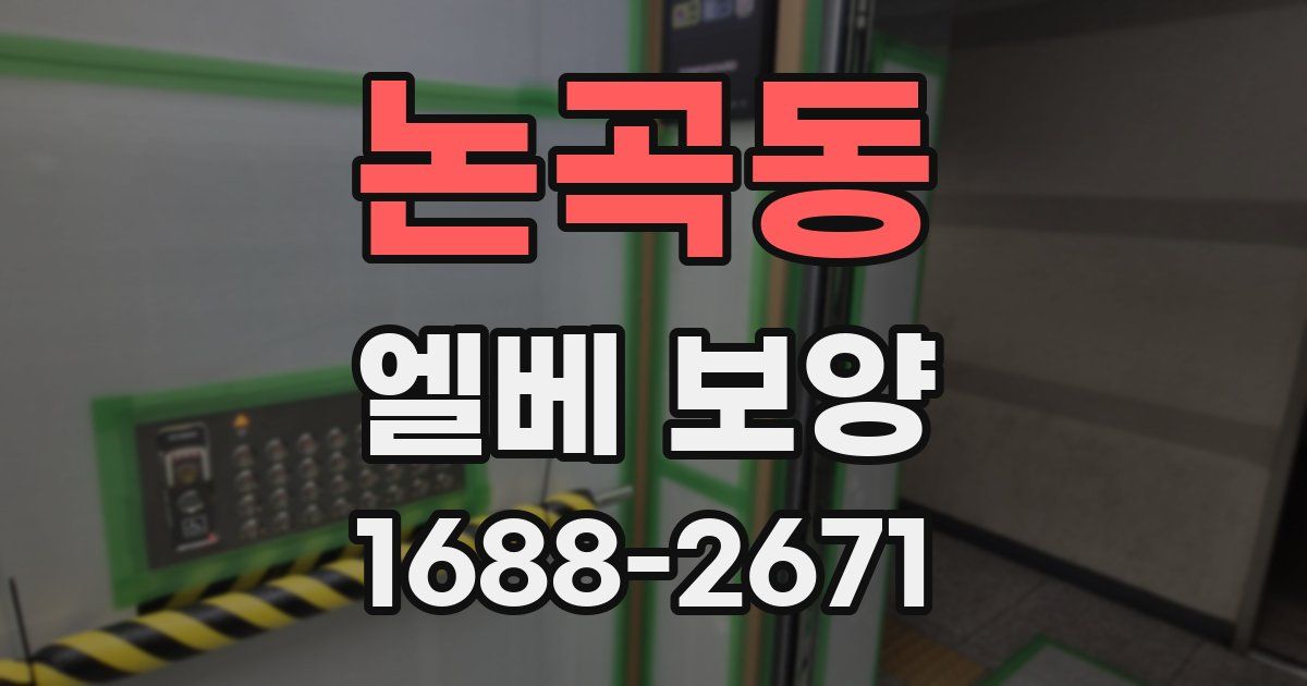 논곡동 엘베 보양