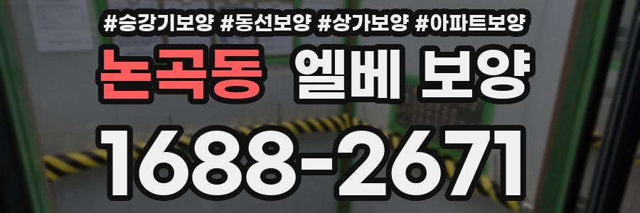논곡동 엘베 보양