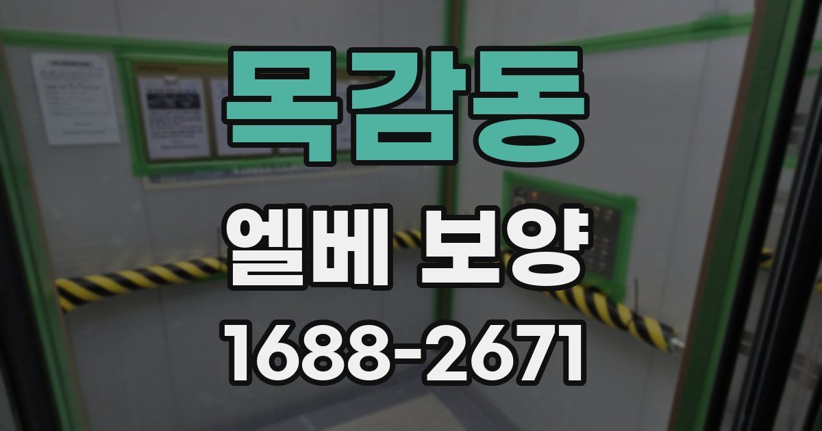 목감동 엘베 보양