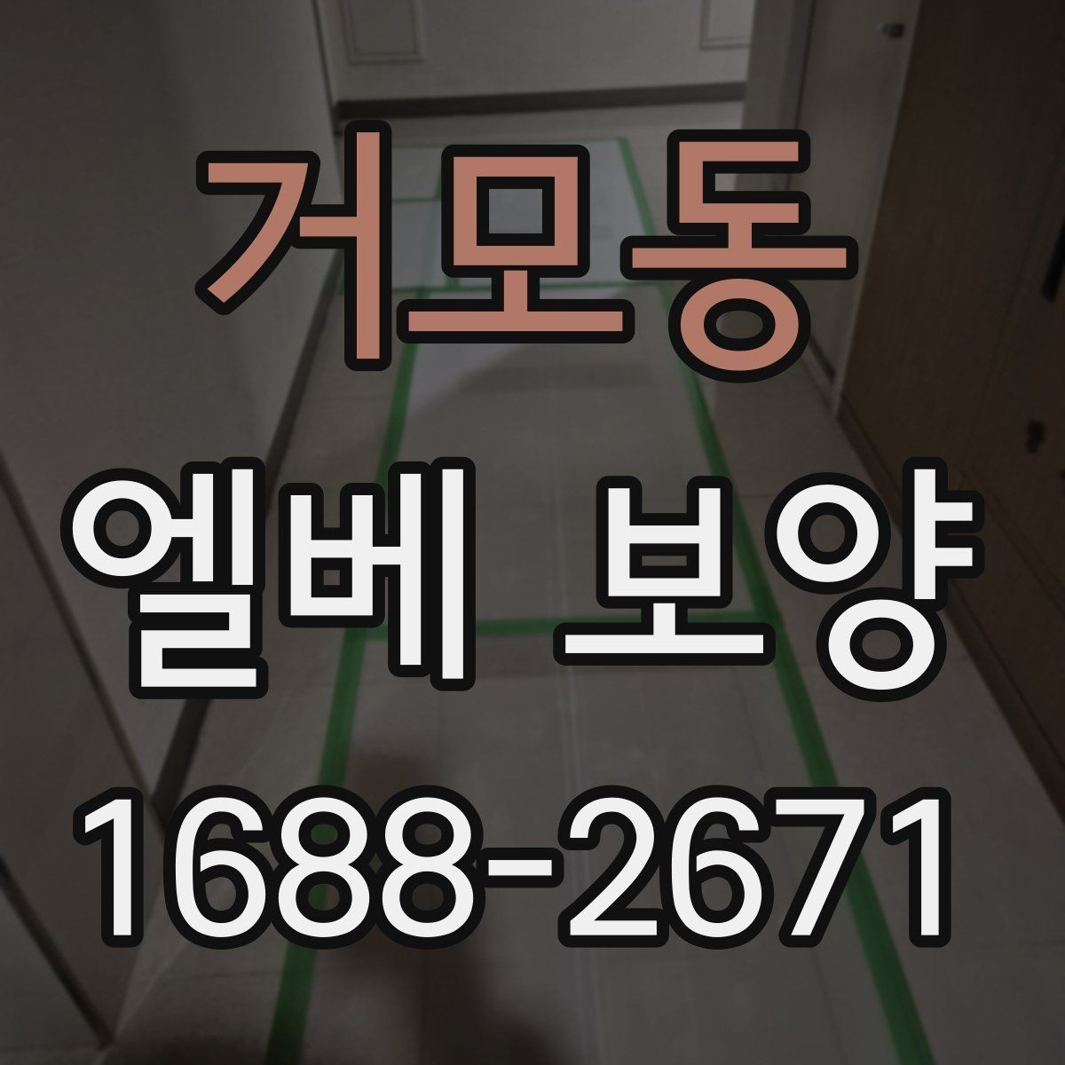거모동 엘베 보양 현장별 보호 범위와 순서가 달라지는 이유