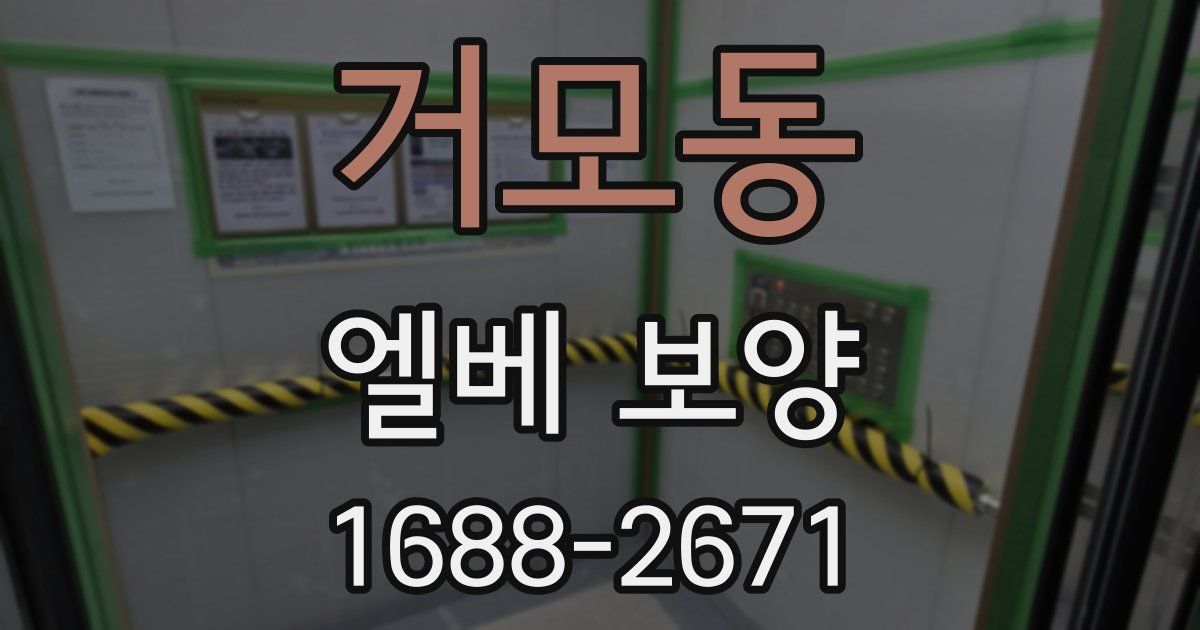 거모동 엘베 보양