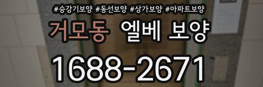 거모동 엘베 보양