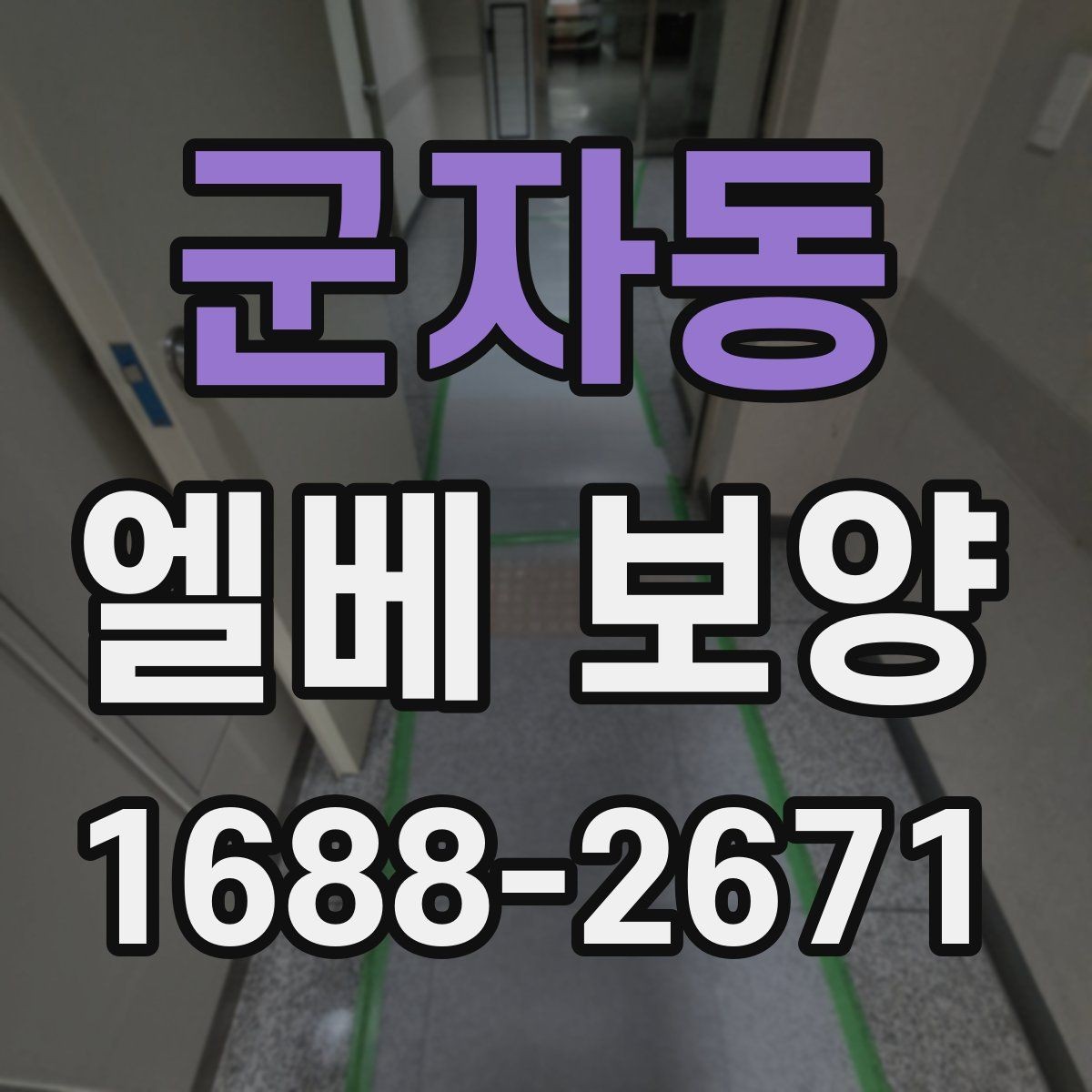 군자동 엘베 보양 바닥과 벽면, 거울 자재를 나눠 쓰는 기준