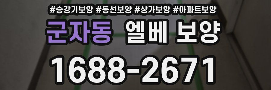 군자동 엘베 보양
