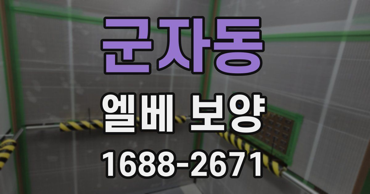 군자동 엘베 보양