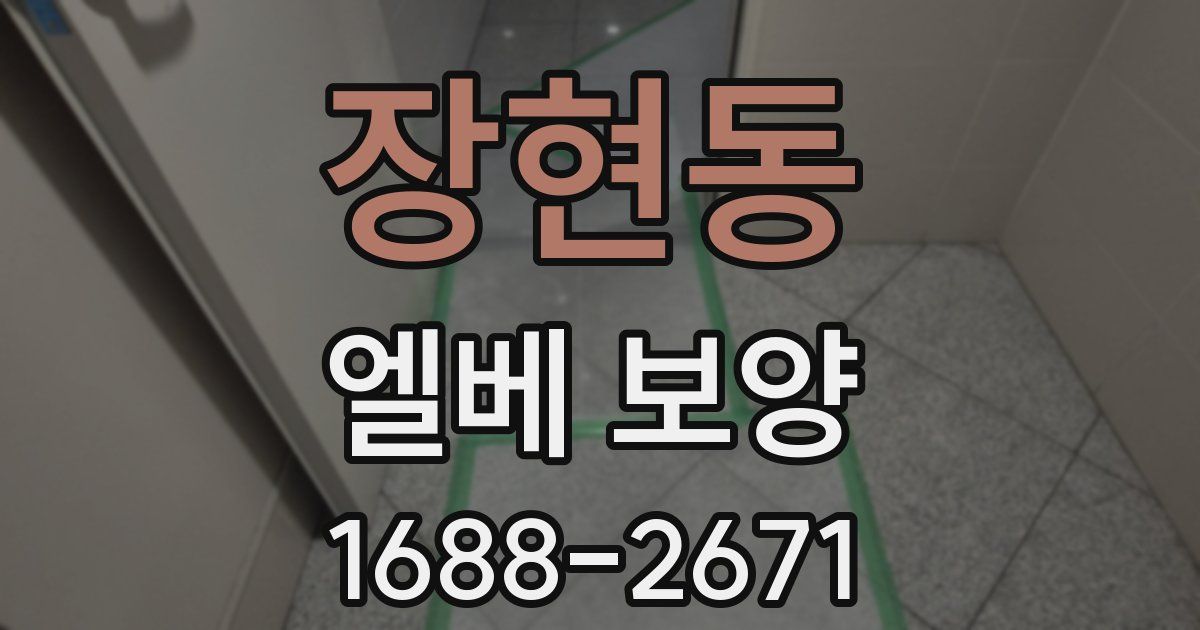 장현동 엘베 보양