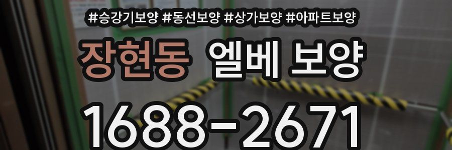 장현동 엘베 보양