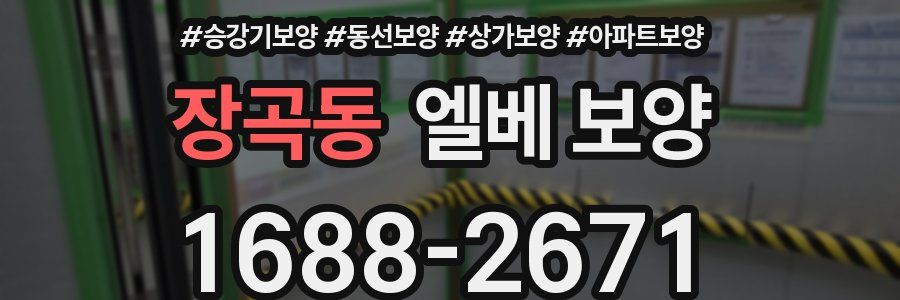 장곡동 엘베 보양