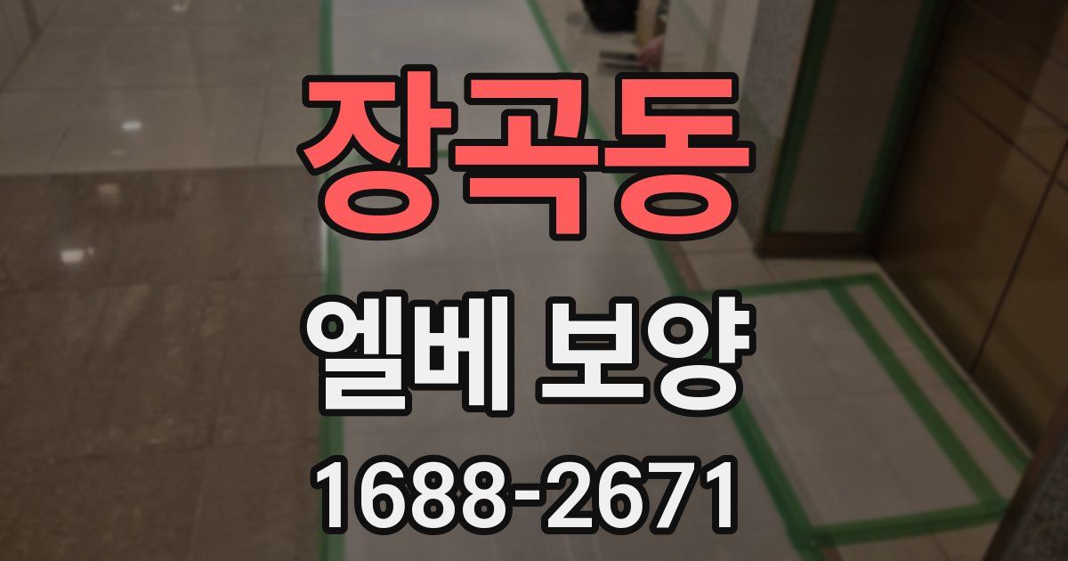 장곡동 엘베 보양
