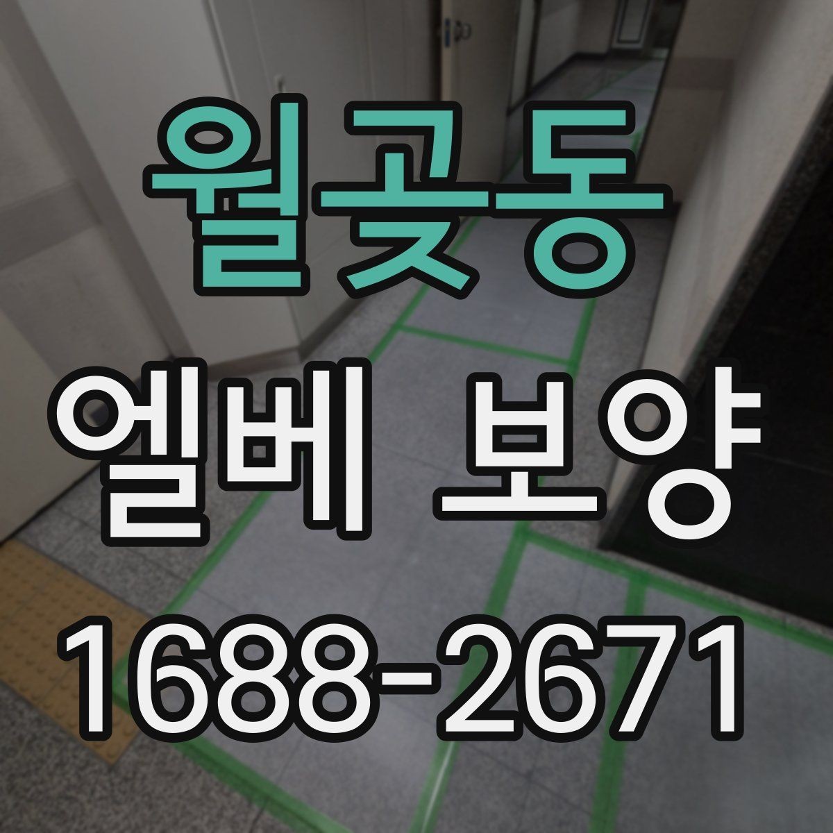 월곶동 엘베 보양 자재 고정이 중요한 이유와 탈락 방지 포인트