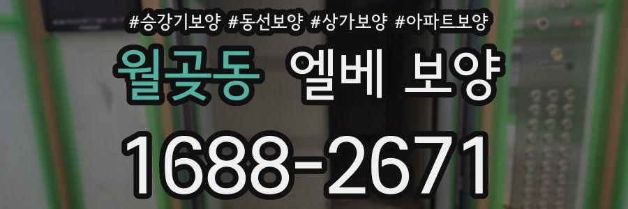 월곶동 엘베 보양