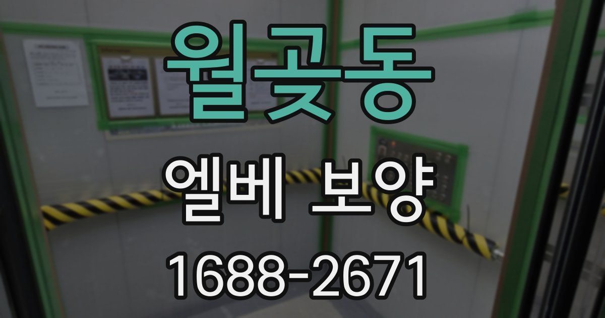 월곶동 엘베 보양