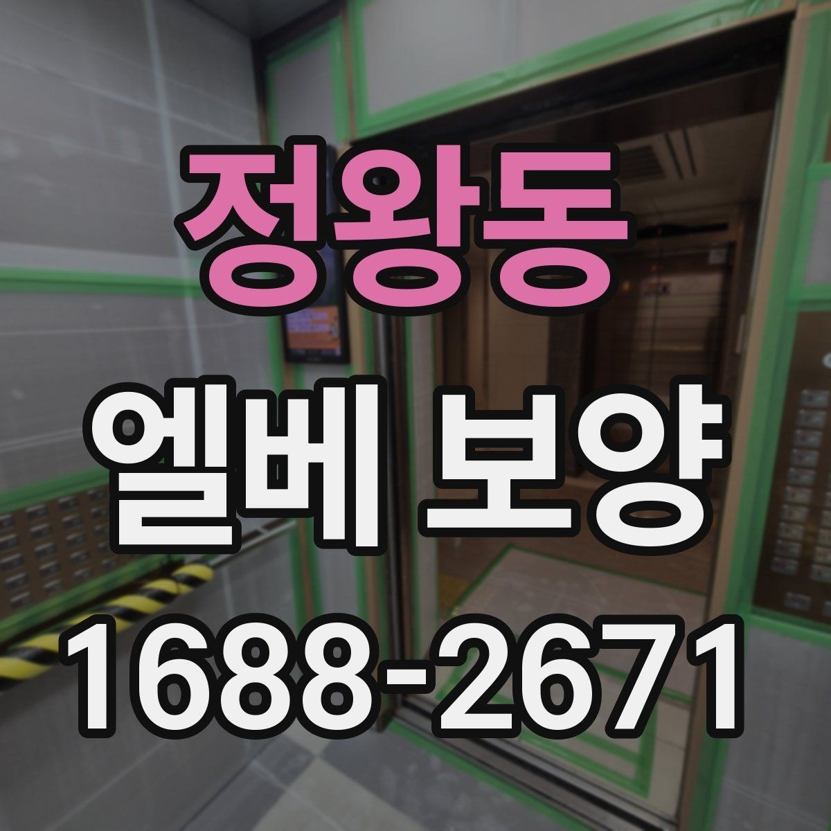 정왕동 엘베 보양 현장마다 달라지는 보호 범위와 순서