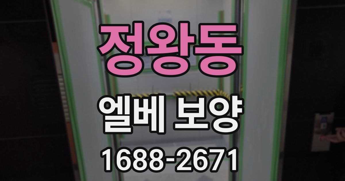 정왕동 엘베 보양