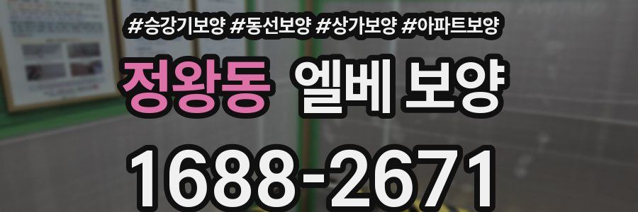 정왕동 엘베 보양