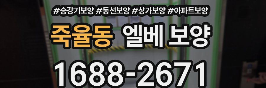 죽율동 엘베 보양