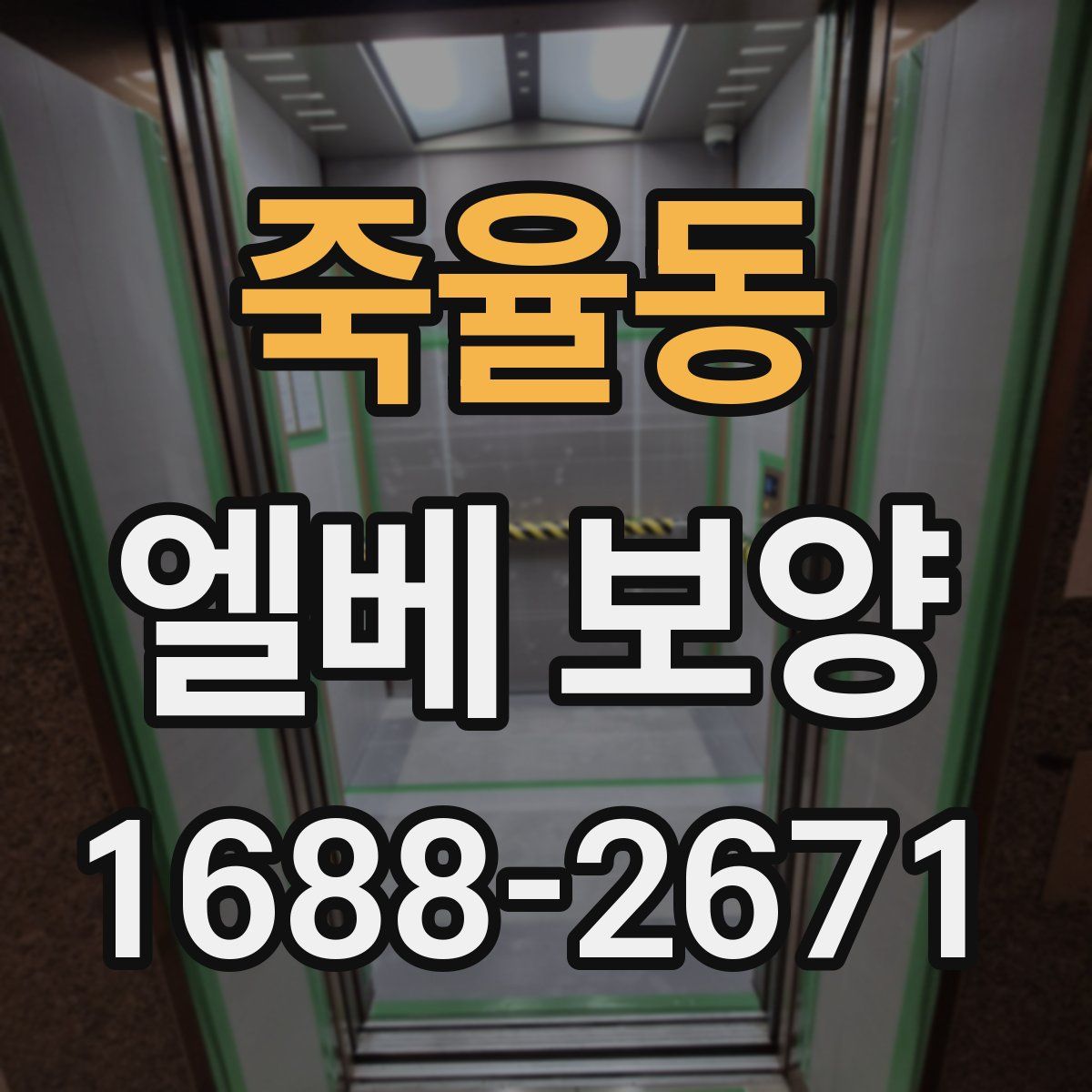 죽율동 엘베 보양