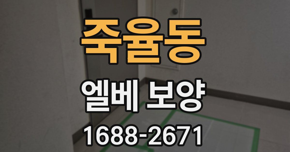 죽율동 엘베 보양