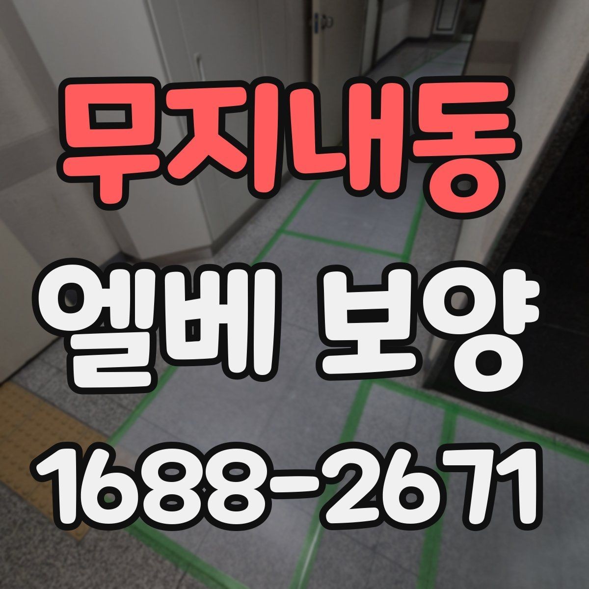 무지내동 엘베 보양 승강기 내부와 출입부를 나눠 보는 기준