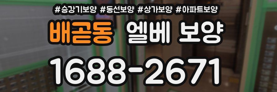 배곧동 엘베 보양