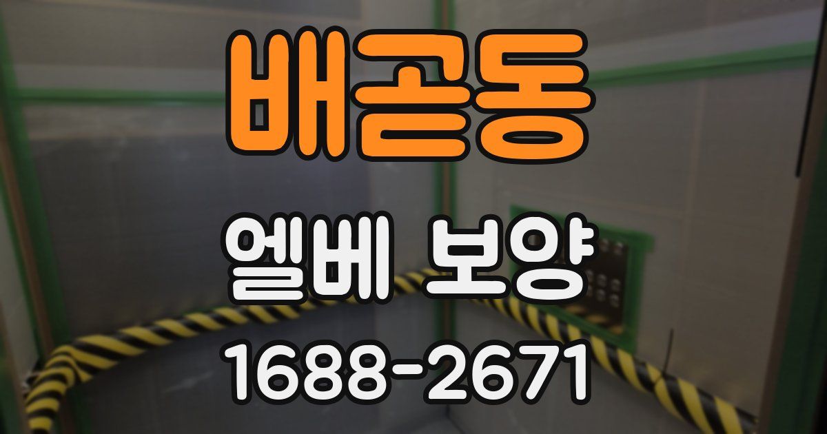배곧동 엘베 보양